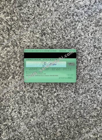 USA Nebraska Five Points Bank AMEX green card photolook back